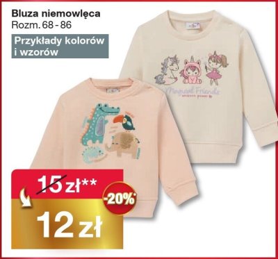 Bluza niemowlęca promocja w Woolworth