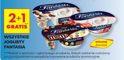 Jogurty Fantasia, wszystkie rodzaje 2+1 gratis promocja w Biedronka