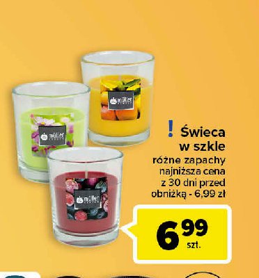 艢wieca w szkle forest dream promocja