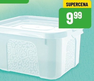 Pojemnik do przechowywania plastikowy promocja w POLOmarket