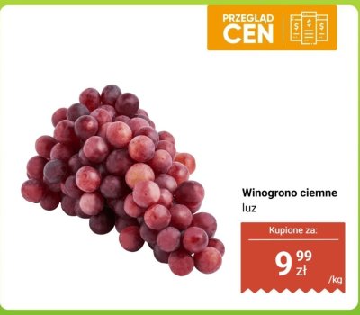 Winogrono ciemne luz promocja w Dino