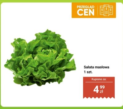 Sałata masłowa 1 szt. promocja w Biedronka