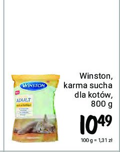 Sucha karma dla kota pełnoporcjowa adult Winston promocja