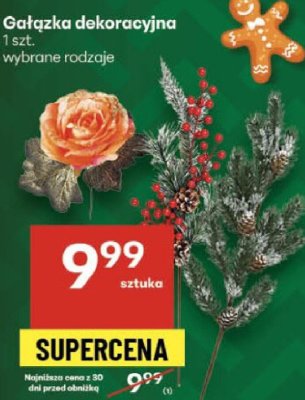 Gałązka dekoracyjna wybrane rodzaje promocja w Delikatesy Centrum