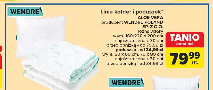 Poduszka aloe vera 50 x 60 cm Wendre promocja