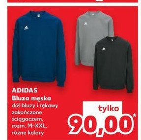 Bluza męska m-xxl Adidas promocja