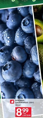 Borówka amerykańska promocja w Selgros