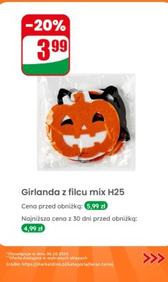 Girlanda z filcu mix H25 Dino promocja w Dino