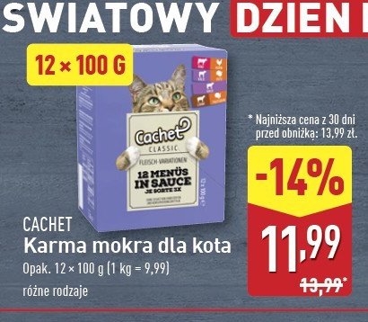 Karma dla kota mięso w galarecie Cachet promocja w Aldi