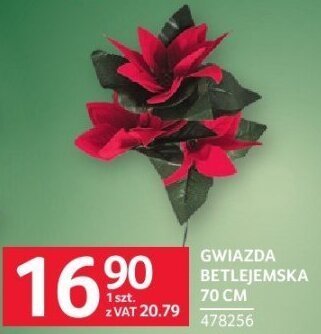 Gwiazda Betlejemska 70 cm promocja w Selgros