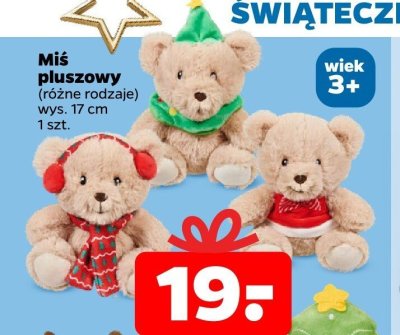 Miś pluszowy 17 cm różne rodzaje promocja w Netto