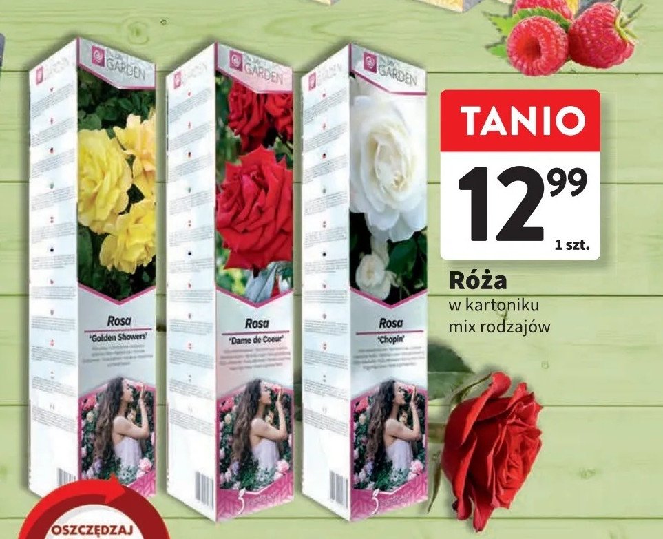 Róża w kartonie promocja w Intermarche