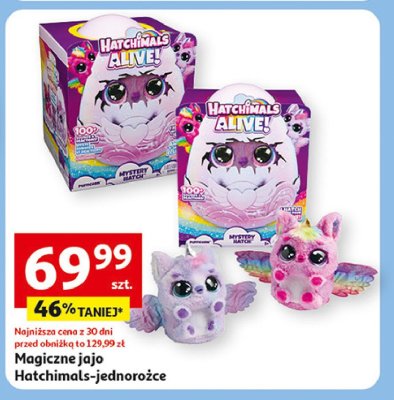 Jajko hatchimals Spin master promocja