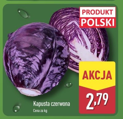 Kapusta czerwona promocja w Aldi