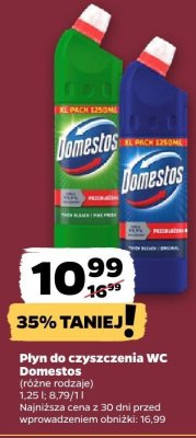 Płyn do czyszczenia WC  promocja w Netto