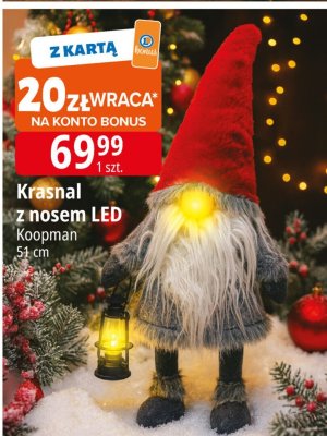 Krasnal z nosem LED Koopman promocja w Leclerc