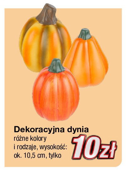 Dynia ceramiczna 10.5 cm promocja