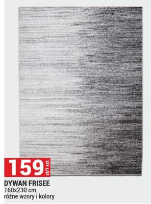 Dywan FRISEE 160x230 cm, różne wzory i kolory promocja w Merkury Market