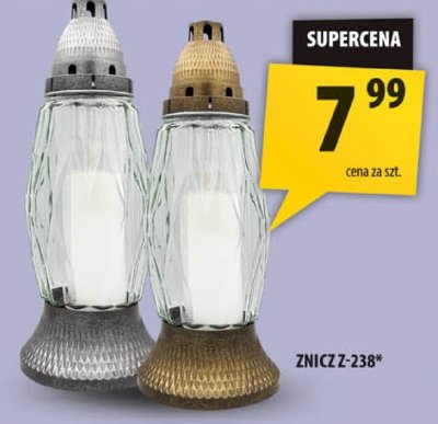 Znicz Z-238 promocja w Arhelan