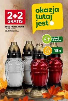 Znicz promocja w Stokrotka
