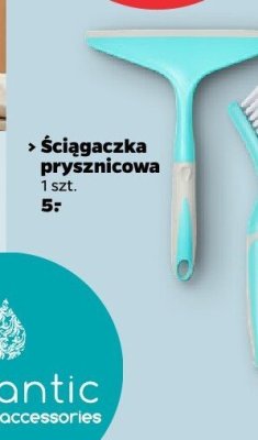 Ściągaczka prysznicowa promocja w Netto