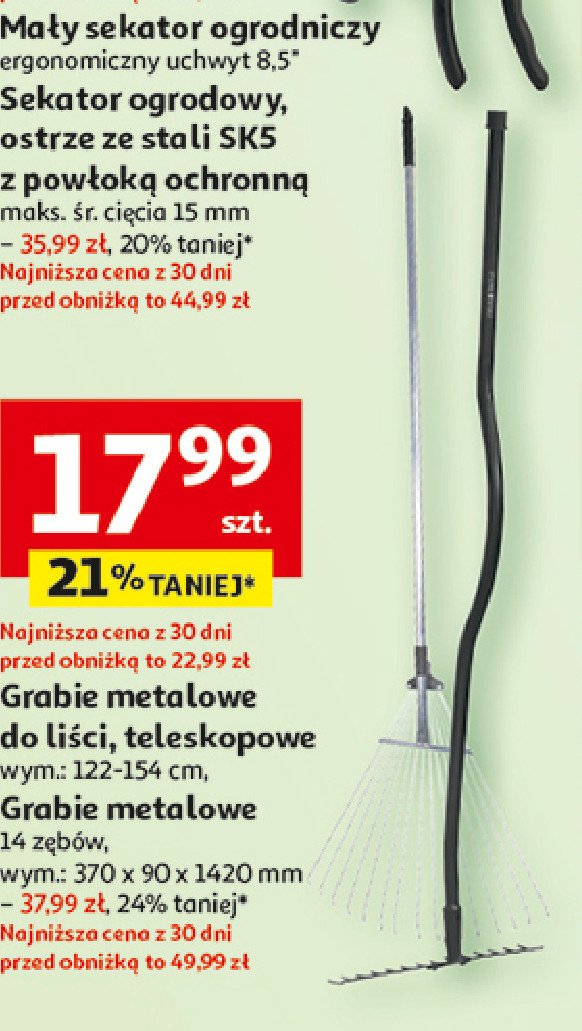 Grabie do liści promocja w Auchan