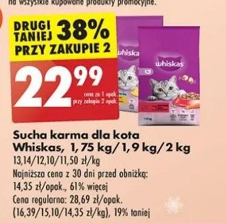 Karma dla kota junior z kurczakiem Whiskas junior promocja