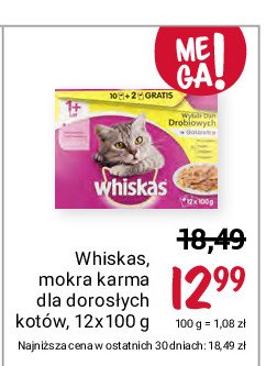 Karma dla kota wybór dań drobiowych w galaretce Whiskas promocja