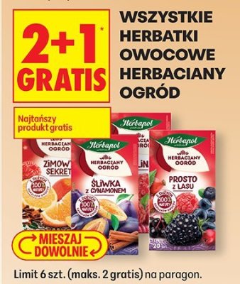 Herbatki owocowe Herbaciany Ogród wszystkie rodzaje 2+1 GRATIS promocja w Biedronka