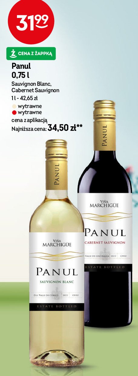 Wino Panul sauvignon blanc promocja