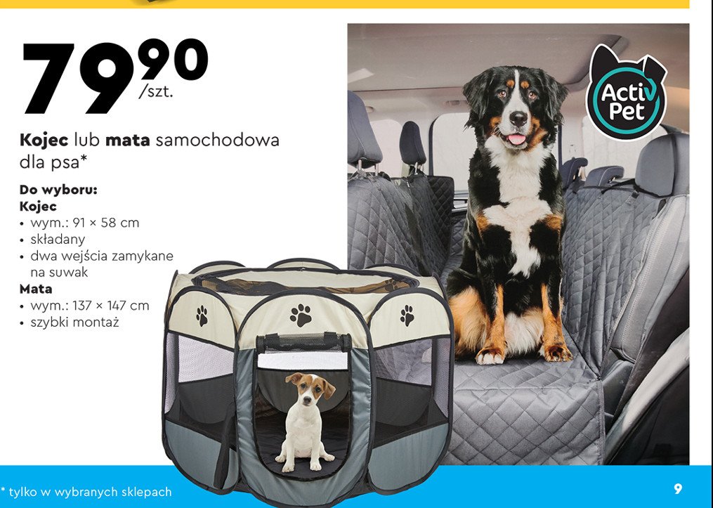 Mata dla psa 137 x 147 cm Activ pet promocja