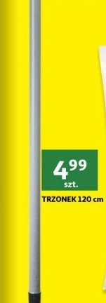 Trzonek 120 cm Auchan promocja