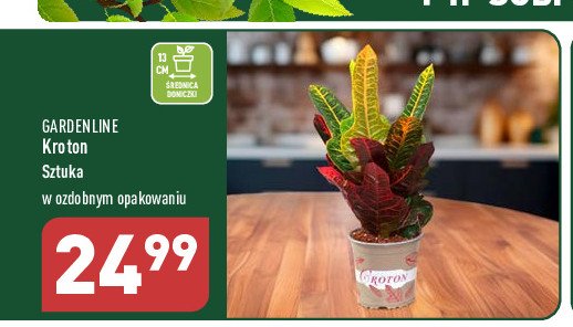 Kroton GARDEN LINE promocja