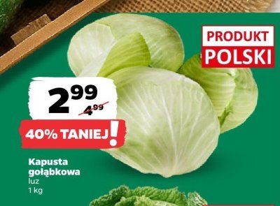 Kapusta gołąbkowa luz promocja w Netto