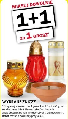 Znicz promocja w Selgros