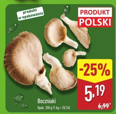 Boczniaki promocja w Aldi