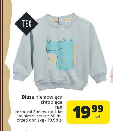 Bluza niemowlęca chłopięca 3 mies - 4 lat Tex promocja w Carrefour