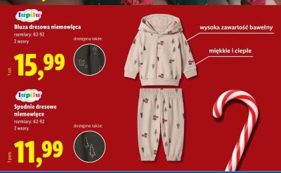 Bluza dresowa niemowlęca lupilu promocja w Lidl