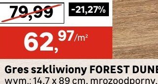 Gres szkliwiony FOREST DUNE promocja w Leroy Merlin