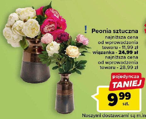 Peonia pojedyncza promocja