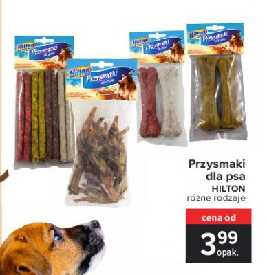 Kurze 艂apki Hilton promocja