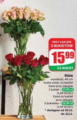 Róże 11 szt. bukiet promocja w Dino