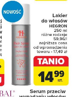 Lakier do włosów perfect finish Hegron promocja