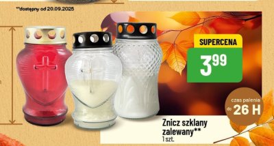 Znicz promocja w POLOmarket