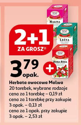 Herbatka dzika róża Malwa tea promocja