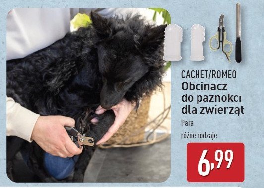 Obcinacz do paznokci Romeo promocja