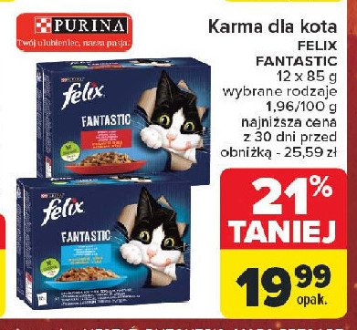 Karma dla kota łosoś i płastuga Purina felix fantastic promocja w Carrefour Market