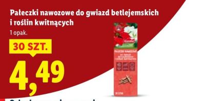 Paleczki nawozowe do gwiazd betlejemskich i roślin kwitnących promocja w Lidl