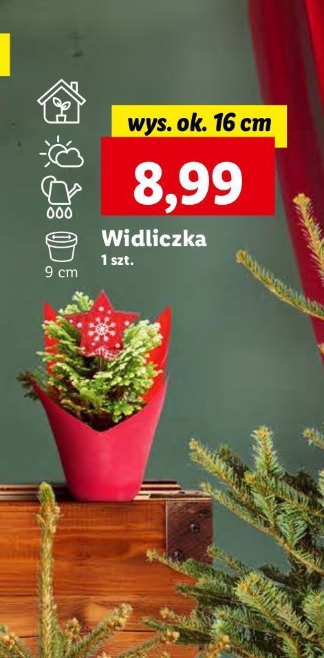 Widliczka 16 cm promocja