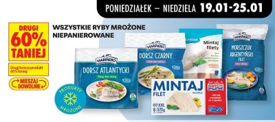 Wszystkie ryby mrożone niepanierowane promocja w Biedronka